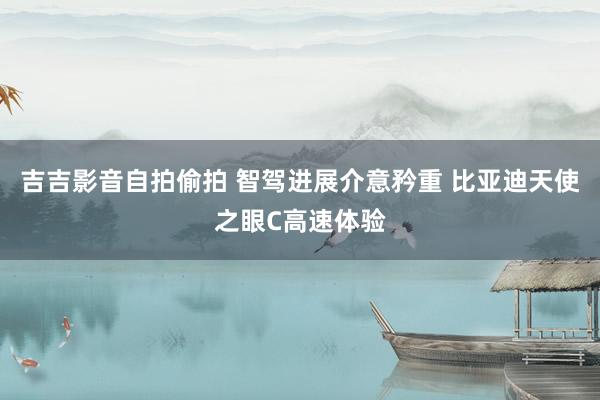 吉吉影音自拍偷拍 智驾进展介意矜重 比亚迪天使之眼C高速体验