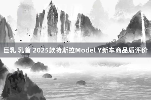 巨乳 乳首 2025款特斯拉Model Y新车商品质评价
