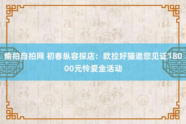 偷拍自拍网 初春纵容探店：欧拉好猫邀您见证18000元怜爱金活动