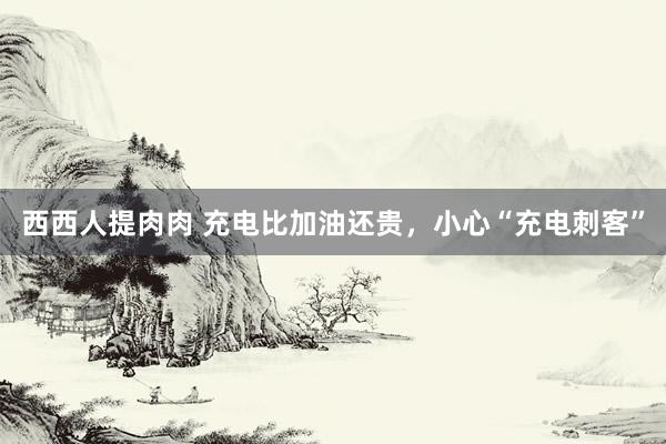 西西人提肉肉 充电比加油还贵，小心“充电刺客”