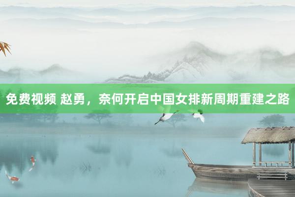 免费视频 赵勇，奈何开启中国女排新周期重建之路