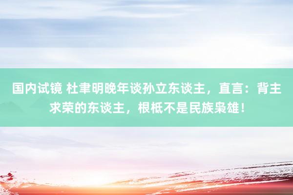 国内试镜 杜聿明晚年谈孙立东谈主，直言：背主求荣的东谈主，根柢不是民族枭雄！