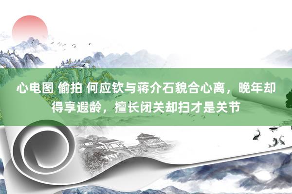 心电图 偷拍 何应钦与蒋介石貌合心离，晚年却得享遐龄，擅长闭关却扫才是关节