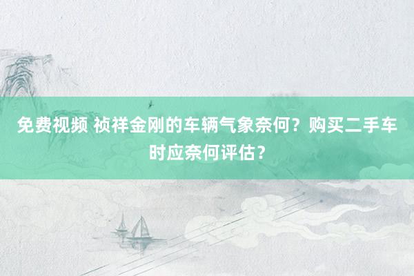 免费视频 祯祥金刚的车辆气象奈何？购买二手车时应奈何评估？