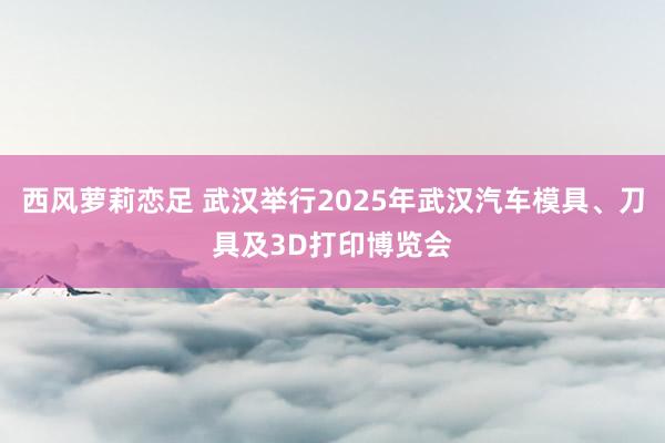 西风萝莉恋足 武汉举行2025年武汉汽车模具、刀具及3D打印博览会