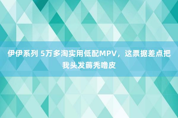 伊伊系列 5万多淘实用低配MPV，这票据差点把我头发薅秃噜皮
