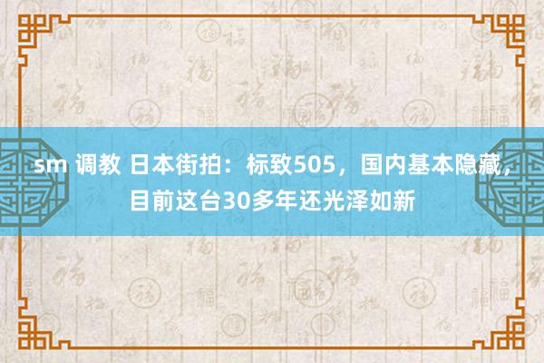 sm 调教 日本街拍：标致505，国内基本隐藏，目前这台30多年还光泽如新