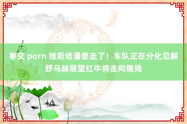 拳交 porn 维斯塔潘要走了！车队正在分化见解舒马赫展望红牛将走向雕残