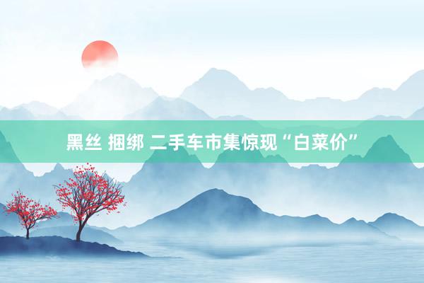 黑丝 捆绑 二手车市集惊现“白菜价”