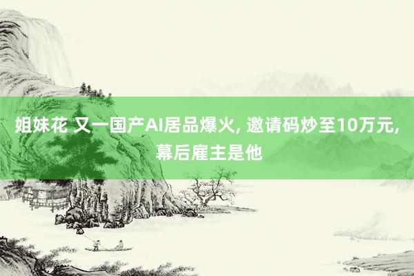 姐妹花 又一国产AI居品爆火, 邀请码炒至10万元, 幕后雇主是他