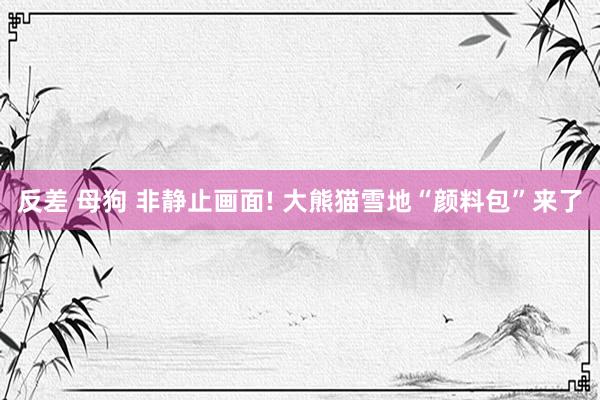 反差 母狗 非静止画面! 大熊猫雪地“颜料包”来了