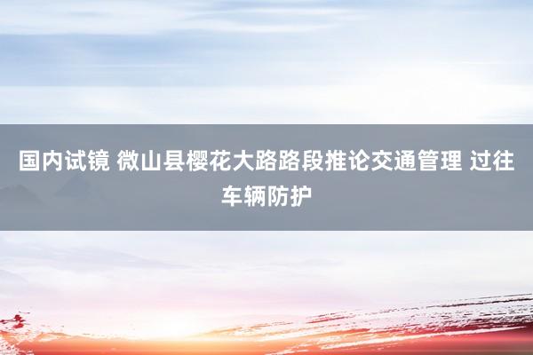 国内试镜 微山县樱花大路路段推论交通管理 过往车辆防护