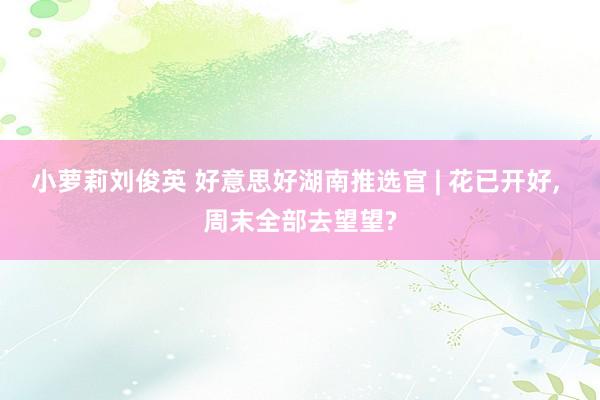 小萝莉刘俊英 好意思好湖南推选官 | 花已开好, 周末全部去望望?