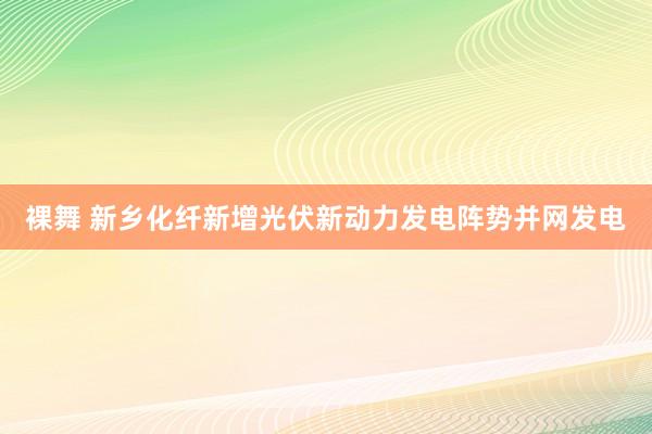 裸舞 新乡化纤新增光伏新动力发电阵势并网发电