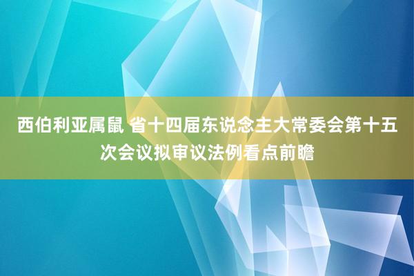 西伯利亚属鼠 省十四届东说念主大常委会第十五次会议拟审议法例看点前瞻