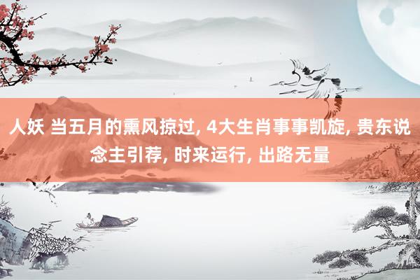 人妖 当五月的熏风掠过, 4大生肖事事凯旋, 贵东说念主引荐, 时来运行, 出路无量