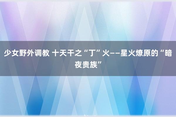 少女野外调教 十天干之“丁”火——星火燎原的“暗夜贵族”