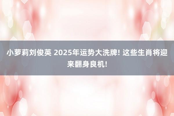 小萝莉刘俊英 2025年运势大洗牌! 这些生肖将迎来翻身良机!