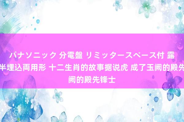 パナソニック 分電盤 リミッタースペース付 露出・半埋込両用形 十二生肖的故事据说虎 成了玉阙的殿先锋士