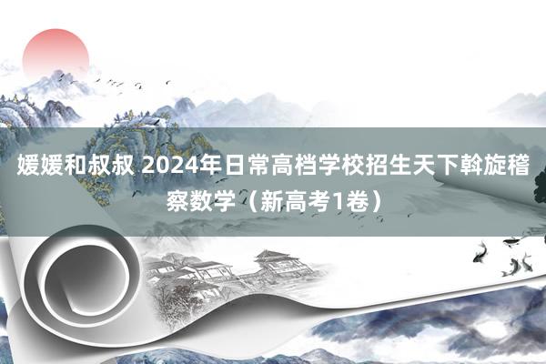 媛媛和叔叔 2024年日常高档学校招生天下斡旋稽察数学（新高考1卷）