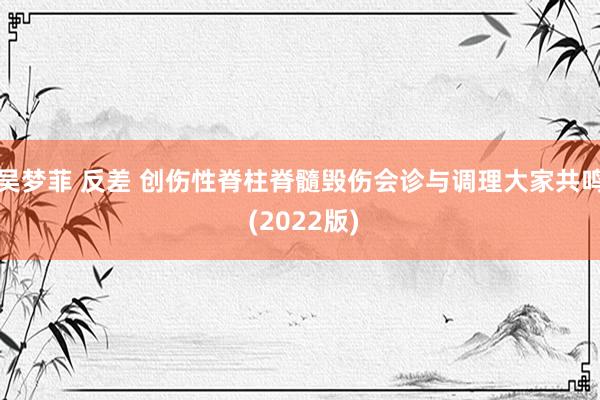 吴梦菲 反差 创伤性脊柱脊髓毁伤会诊与调理大家共鸣 (2022版)