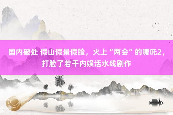国内破处 假山假景假脸，火上“两会”的哪吒2，打脸了若干内娱活水线剧作