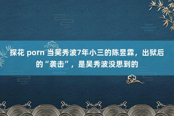 探花 porn 当吴秀波7年小三的陈昱霖，出狱后的“袭击”，是吴秀波没思到的
